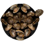Clams