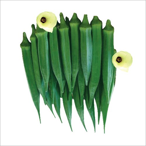 Okra-Seed Ladies Finger - Image 1