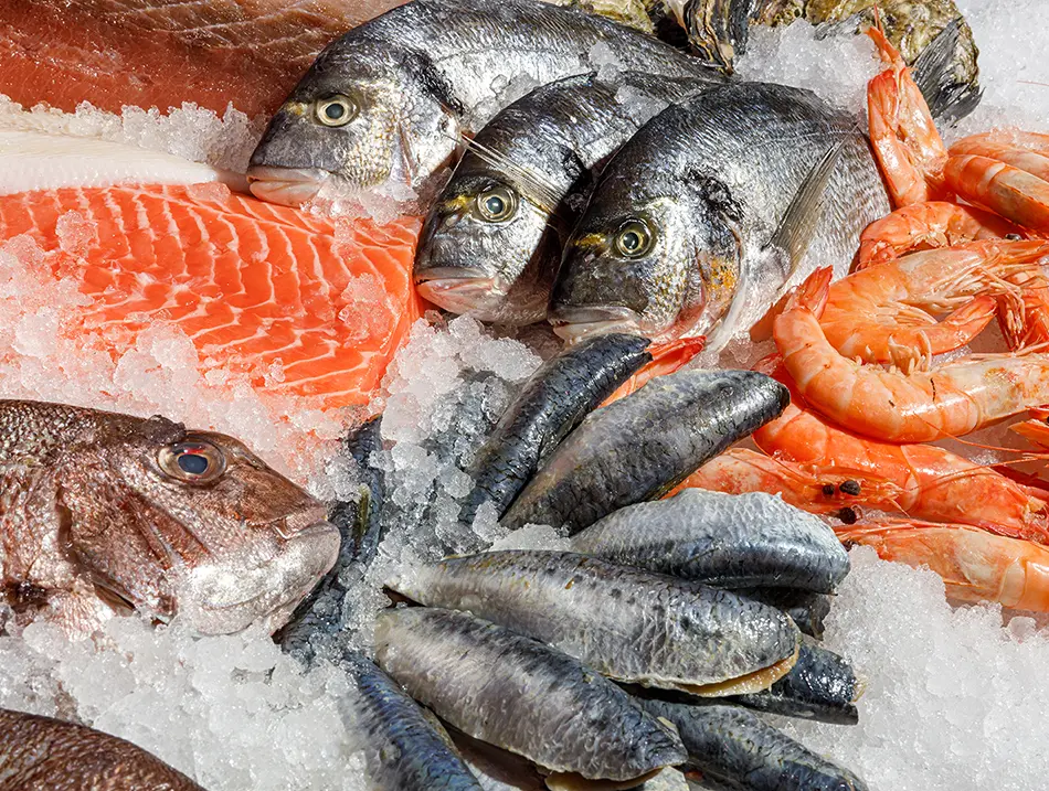 a-captivating-and-tantalizing-fresh-seafood-select-2026-01-05-06-06-23-utc copy