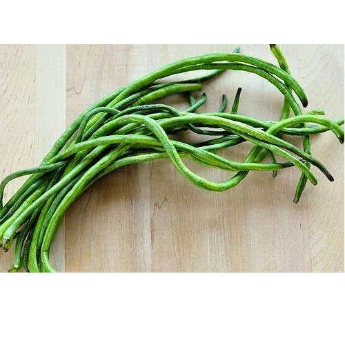 asparagus-bean-500x500.jpg Long Beans - Image 1