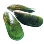 Green mussels
