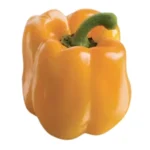 Capsicum Yellow
