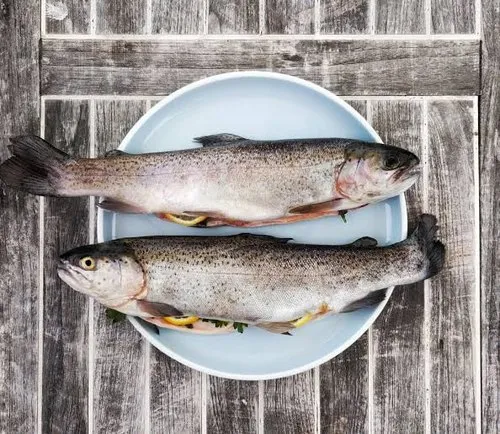 images-29-jpeg-500x500.jpeg Trout - Image 1