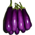 Eggplant