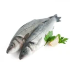 Seabass