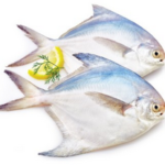 White Pomferet